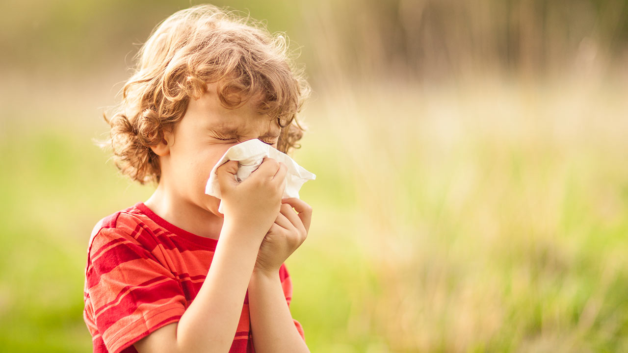 Hay fever in children and teenagers | Raising Children Network